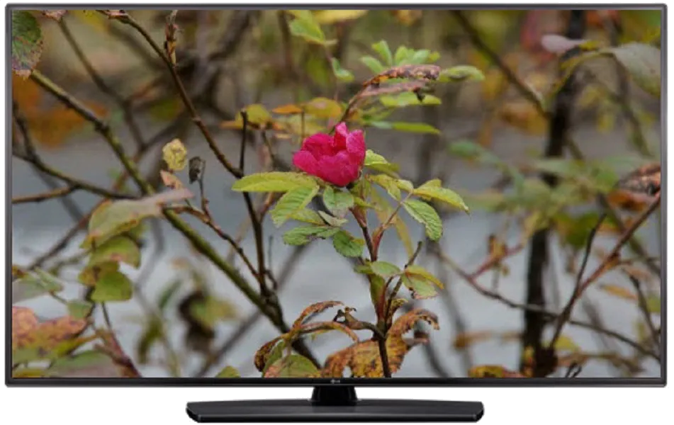 Замена материнской платы LG 55LV541